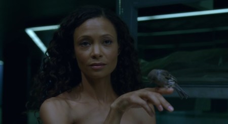 westworld-saison-1-episode-05-6