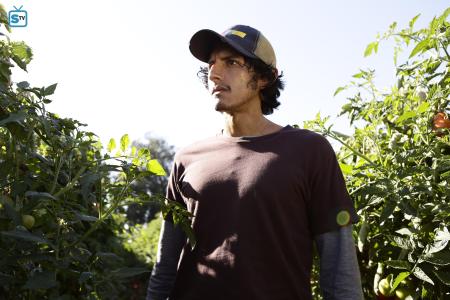 American crime picker